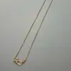 Collar Friedrich Versión Alta con Hebilla de Herradura para Mujer, Colgante Pequeño en Forma de U con Diamantes Completos, Cadena Gruesa para Clavícula Chapada en Oro de 18K, Lote de Fabricante