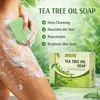 Jabón para Baño Aceite de Árbol de Té Aceite Esencial Jabón de Aceite de Árbol de Té Transfronterizo