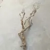 Decoración para Terrario de Reptiles con Madera, Recinto para Gecko Lagarto de Pestañas de Serpiente, Plataforma para Trepar de Dragón Barbudo, Ramas y Raíces de Madera Muerta con Patrón de Dragón