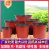 Bandeja de mudas bicolor copo de nutrição vaso de mudas vaso de flores de plástico descartável vaso para plantio de flores vaso de duas cores espessado