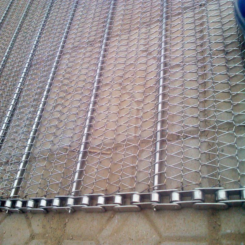 链条式网带输送带 (1)