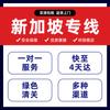 Transferencia exprés internacional Envío de EE. UU. a Hong Kong Transporte de carga de Taiwán Recogida de alimentos Línea logística aérea de Singapur
