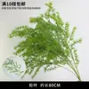 Plantas Verdes, Hierba de Junco, Hierba Bigote de Dragón, Fondo de Boda, Paisajismo de Ventana Floral, Flores Decorativas para Boda en Bosque Blanco y Verde