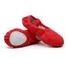 Venta al por mayor de fábrica zapatos de baile para mujer niños suela blanda zapatos de ballet zapatos de baile para adulto práctica básica de yoga zapatos de garra de gato