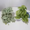Pegamento Blando de Taro Simulado Siente Hojas Falsas Paisajismo Colgante Pared de Fondo de Pared Oficina Hotel Decoración de Pared de Plantas de Interior