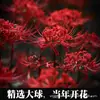 Bola de semente de Bianhua bola grande Manzhushahua Lycoris flor plantas de interior e exterior Sementes de flores de Mandrágora flores em vasos