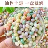 Raiz Bodhi Dopamina Contas Soltas Feitas à Mão Contas para Montagem DIY Material para Pulseira de Contas de Buda Contas Cápsula Altamente Polidas Sementes de Bodhi com Contas