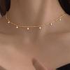 Collar de cadena de clavícula con colgante de borla de circonita con microincrustaciones de cobre hecho a mano con diseño de nicho de tendencia de moda europea y americana para mujer