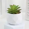 Set de Suculentas Simuladas Plantas Verdes Pequeños Bonsáis Flores Artificiales Transfronterizas Decoración del Hogar Adornos de Escritorio Plantas de Plástico Flores Artificiales