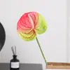 Flor Artificial de Anturio Falso Impresa en 3D Anturio de Fuego Decoración de Salón de Bodas Decoración del Hogar Planta Verde Artificial Fabricante de Flores Falsas