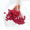 Ramo de Flores Secas Botón, Materiales de Flores Eternas de Alta Gama, Accesorios de Flores Secas para Manualidades, Adornos Decorativos para el Día de San Valentín al por Mayor