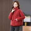 [Buke] 24 Inverno Hangzhou Italian Leisure Casaco curto com gola vertical para baixo