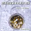 Pacote de Materiais para Acessórios de Manicure Tesouro Barroco Estilo Quente Transfronteiriço Concha Natural Cascalho de Vidro Misturado Decoração de Unhas