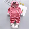 Ropa para niños para niños y niñas traje de primavera y otoño ropa deportiva informal para niños dos piezas de seda de leche ropa para niños una generación de pelo