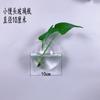 Florero hidropónico para colgar en la pared botella de vidrio utensilios planta para colgar en la pared hidropónico creativo para colgar en la pared esférico planta verde maceta