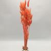 Flor eterna, cola de conejo, flores secas, venta al por mayor, decoración del hogar, accesorios de flores preservadas, regalo de San Valentín, flor eterna, venta al por mayor