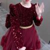 Vestido de Verão de Alta Qualidade para Meninas com Forro de Veludo, Saia Estilosa de Tule Bufante com Veludo, Vestido de Princesa Infantil, Vestido de Aniversário