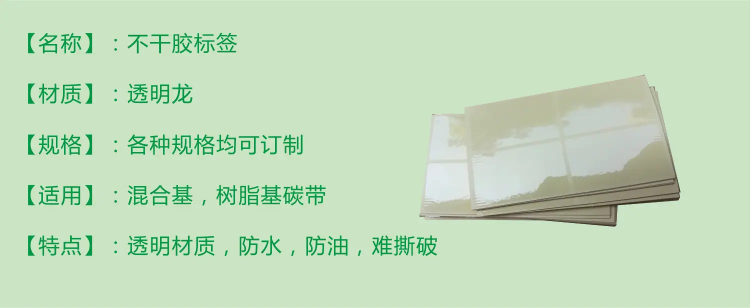 2透明龙.jpg