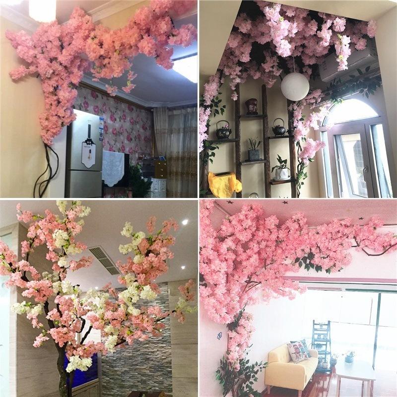 zhutu20190225220851476.jpg