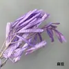 Hierba de Amante Flor Eterna Flor Real Natural Ramo de Flores Eternas Caja de Regalo para el Día de San Valentín con Arreglo Floral de Aromaterapia Especial al por Mayor