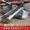 Equipamento de Secagem de Beldroega Grande Escala Máquina de Secagem de Beldroega, Planta Gafanhoto e Planta Abelha Secador de Beldroega Tipo Esteira