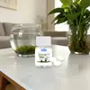 Comprimidos de Purificação de Água para Plantas Hidropônicas Kineshinex São Multifuncionais e Adequados para Plantas Verdes e Paisagismo Aquático