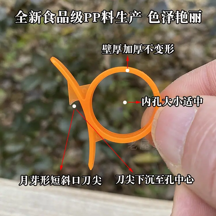 老屋家特点.jpg