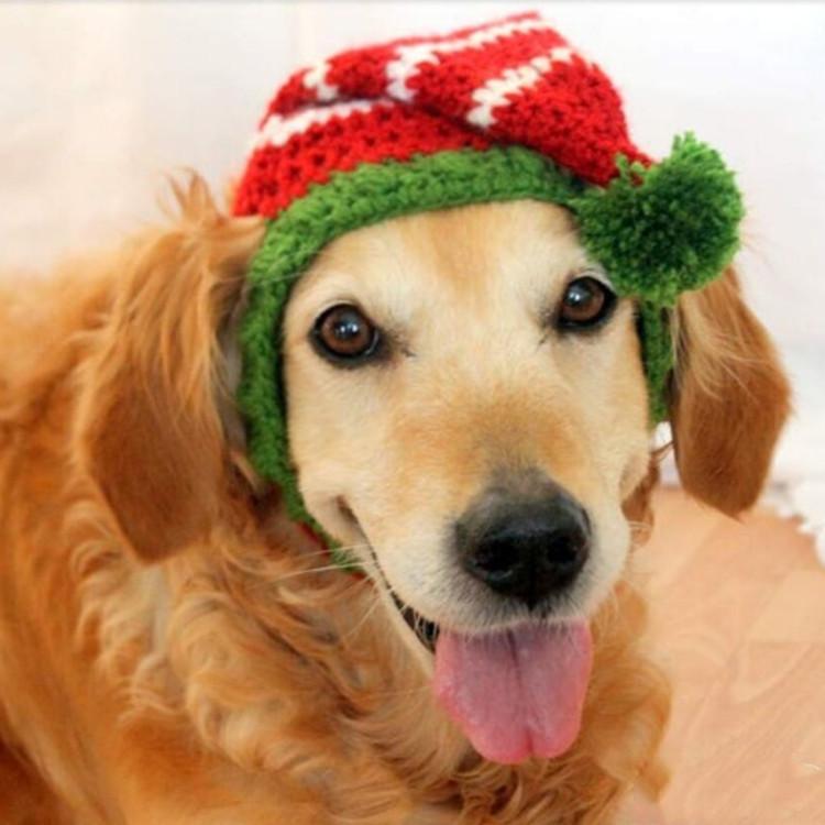 QQ图片20190924145131_副本_副本