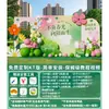 Decoraciones de Moda para Exteriores con Temática de Primavera para Team Building, Montaje de Ambiente, Salidas de Primavera, Campamentos de Verano, Tablero Kt y Fondo de Centro Comercial
