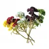 Simulación planta suculenta súper grande tamaño pequeño suculenta bonsái planta verde flor de plástico en maceta micro paisaje con pared vegetal