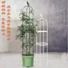 Suporte para Trepadeiras de Plantas Suporte para Pepino Luffa Pilar para Flores Suporte para Rosas Pacote de Emenda Tubo de Aço Plástico