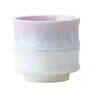 Taza de Bambú con Esmalte Cristalizado para Uso Doméstico, Taza de Té con Cerámica Transformada en Horno, Taza Personal para Degustación de Té, Cuenco de Té, Taza de Té, Juego de Té Kung Fu, Taza Individual