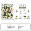 Flores Secas DIY Embossed DIY Pacote de Material Embossado Petal de Foto Marcador de Página Cola de Flor Real Folhas Secas Espécime de Planta