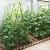 Soporte para Flores de Jardín Enrejado para Hiedra Trepadora de Pepino Enrejado para Uvas Soporte Fijo para Plantas de Rosa en el Patio Exterior Estante para Verduras
