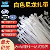 Corbata de nylon autoblocante blanca, brida de plástico para cables, correa de sujeción de cables, hebilla de línea de amarre, correa de brida de cables al por mayor