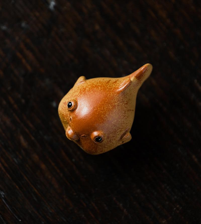 小河豚20210616 (8).jpg