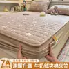 Juego de Sábanas Ajustables para Dormitorio de Estudiantes Cubierta de Colchón de Terciopelo de Leche Cubierta de Colchón Individual Juego de Sábanas de Tres Piezas Invierno Engrosado Cálido Forrado de Felpa