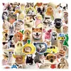 50 Adesivos de Pacote de Expressões de Animais de Estimação Realistas de Celebridades da Internet Transfronteiriças, Adesivos Fofos de Filhote e Gato, para Computador, Mala e Caderno
