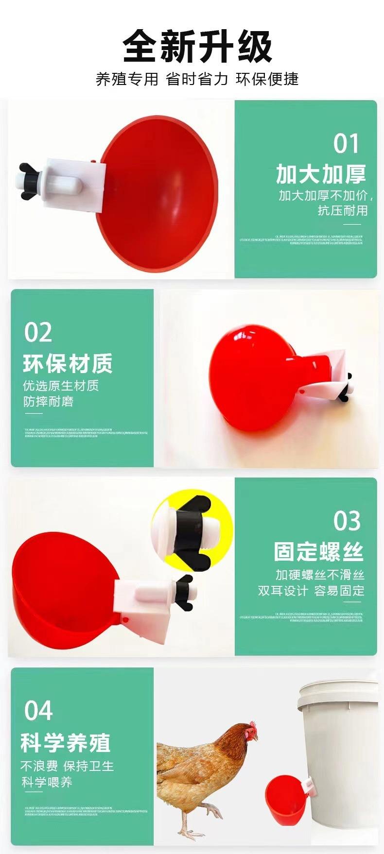 详情页 (5).jpg