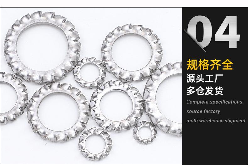 外齿多齿垫圈_04.jpg