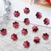 Nuevas decoraciones de uñas dulces y geniales, polvo mezclado negro, dos colores, paquete de material para uñas de glaseado, material para uñas luminoso, venta al por mayor