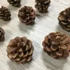 Círculo de Rattan Transfronteiriço Anel de Rattan Acessórios para Floricultura Pendurado na Porta Feito à Mão Arte Floral Guirlanda Plantas de Natal Enfeites Pendurados Transfronteiriço