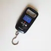 Wh-A17 Weiheng Weiheng Balança Vende Legumes e Pesa Legumes 50kg Portátil Processamento Personalizado Balança de Expresso