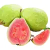 Goiaba Vermelha Fresca de Guangdong, Goiaba de Yunnan com Frete Grátis, Goiaba de Fujian, Goiaba Vermelha com Dropshipping