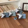 Moda Nueva de Primavera Bolso Cruzado de un Solo Hombro Casual Elegante para Mujer 2026 Diseño de Nicho Bolso Cuadrado Pequeño de Moda