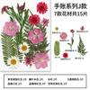 Nova Bolsa de Material com Relevo de Flores Secas Série Diário de Mão Espécime de Planta Colagem de Gota Moldura de Foto Joias Artesanais com Flores Flor Real