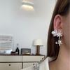 Otoño e Invierno Nuevo Estilo Coreano Estilo Ins Lindos Pendientes de Copo de Nieve y Jengibre Otoño e Invierno Collar Versátil Sentido de Diseño Nicho Mujeres