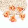 6cm Cabeça de Orquídea Cymbidium Artificial Acessórios de Toque Grampo Lembrança de Casamento Layout de Fundo DIY Arranjo de Flores Fabricante Atacado
