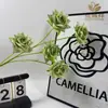 Flores de Rosa Artificiales de 5 Cabezas para Arreglos de Boda, Flores Decorativas para Fotografía, Arreglos de Flores Artificiales al por Mayor