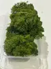 Musgo de Reno Preservado Flor Seca DIY Paisajismo Micro Paisaje, Botella Ecológica, Planta en Maceta de Vidrio, Cubierta de Suelo para Bonsái